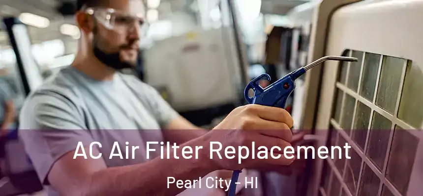 AC Air Filter Replacement Pearl City - HI