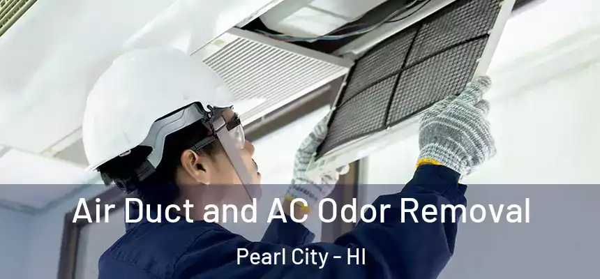 Air Duct and AC Odor Removal Pearl City - HI