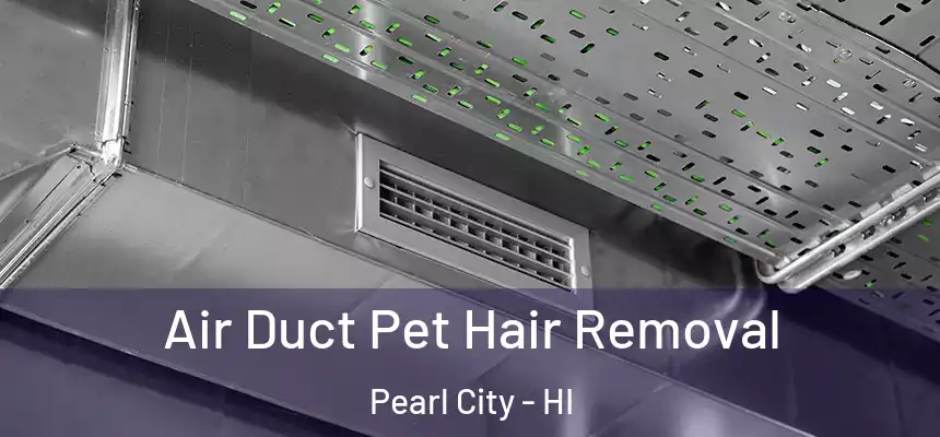 Air Duct Pet Hair Removal Pearl City - HI