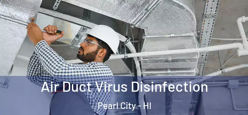  Air Duct Virus Disinfection Pearl City - HI