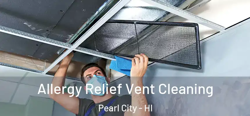 Allergy Relief Vent Cleaning Pearl City - HI