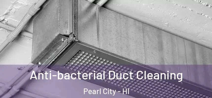  Anti-bacterial Duct Cleaning Pearl City - HI