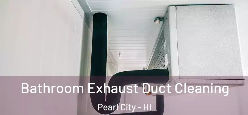  Bathroom Exhaust Duct Cleaning Pearl City - HI