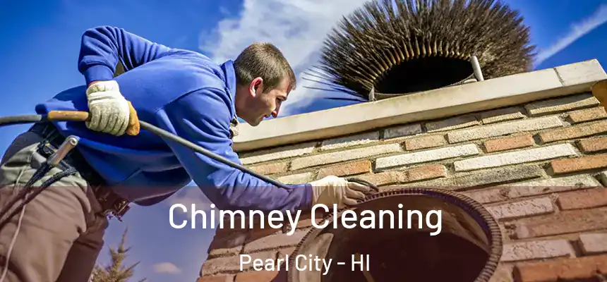 Chimney Cleaning Pearl City - HI