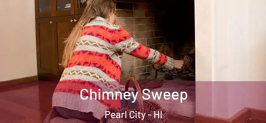 Chimney Sweep Pearl City - HI