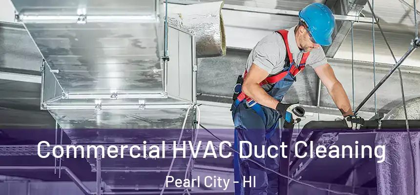 Commercial HVAC Duct Cleaning Pearl City - HI