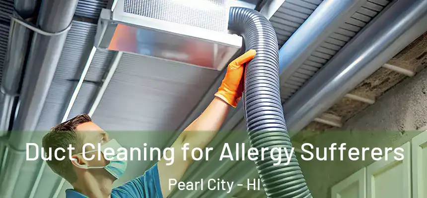  Duct Cleaning for Allergy Sufferers Pearl City - HI