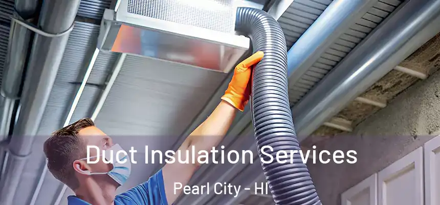 Duct Insulation Services Pearl City - HI