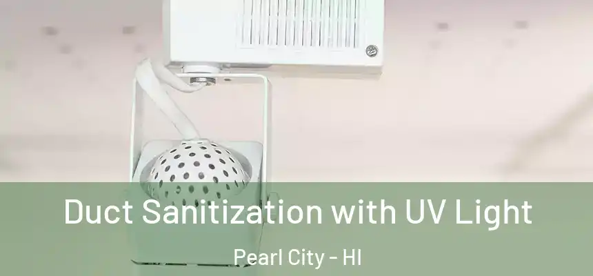  Duct Sanitization with UV Light Pearl City - HI