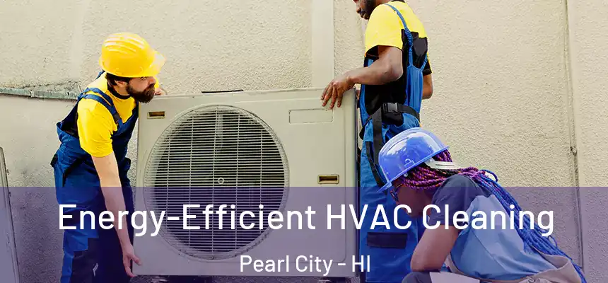  Energy-Efficient HVAC Cleaning Pearl City - HI