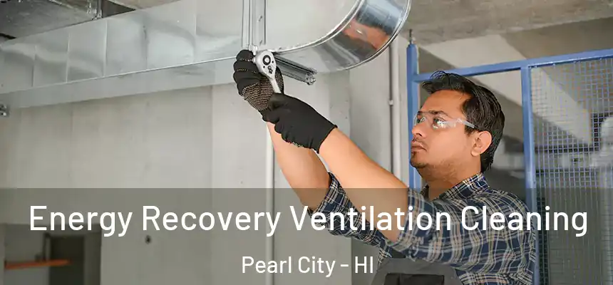 Energy Recovery Ventilation Cleaning Pearl City - HI