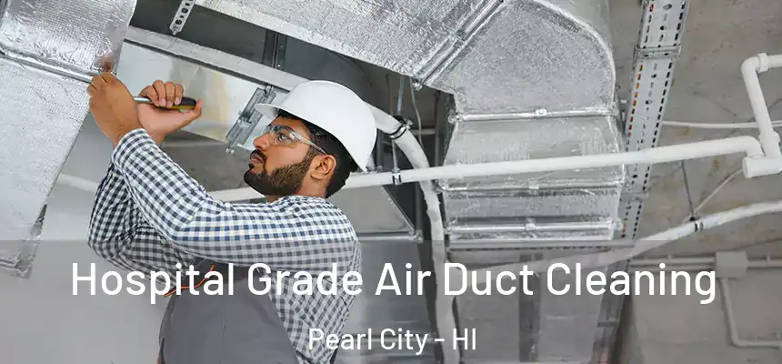  Hospital Grade Air Duct Cleaning Pearl City - HI