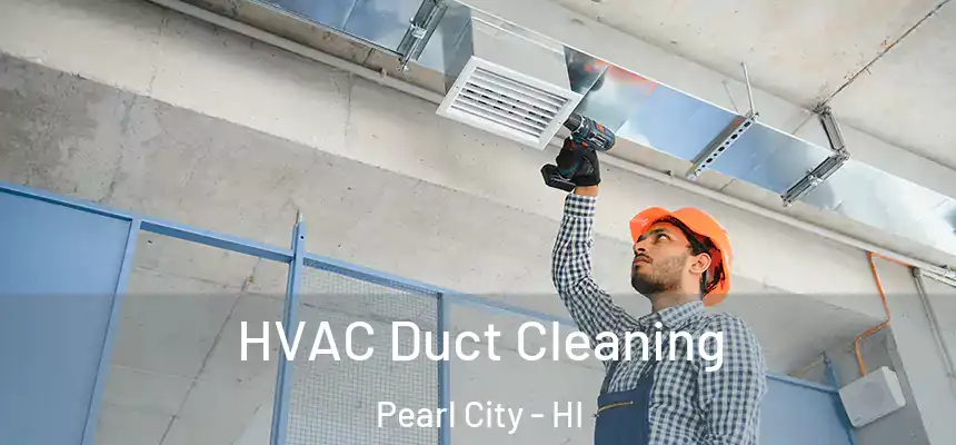  HVAC Duct Cleaning Pearl City - HI