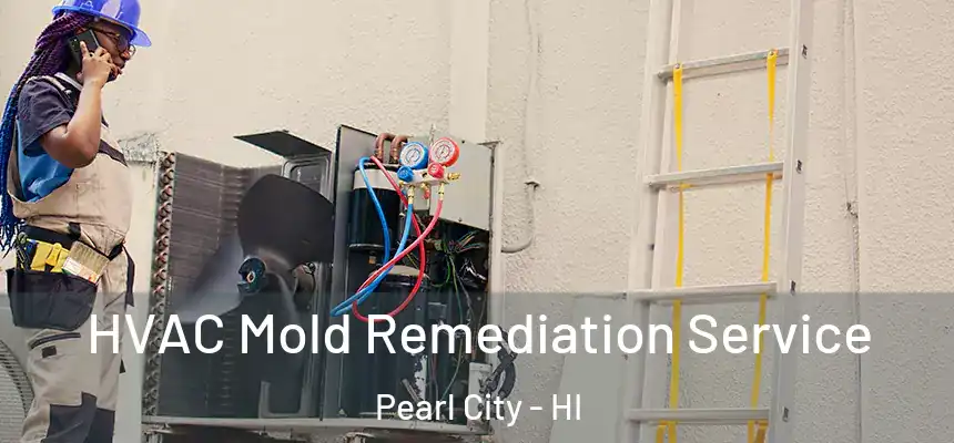 HVAC Mold Remediation Service Pearl City - HI