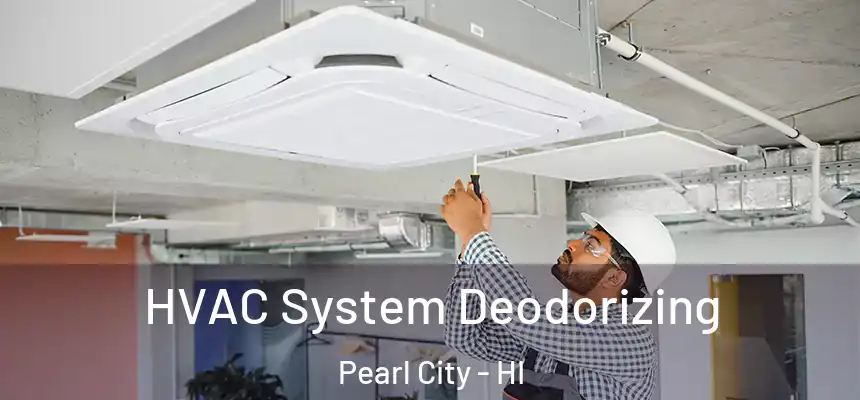  HVAC System Deodorizing Pearl City - HI