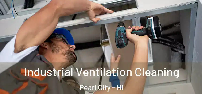  Industrial Ventilation Cleaning Pearl City - HI
