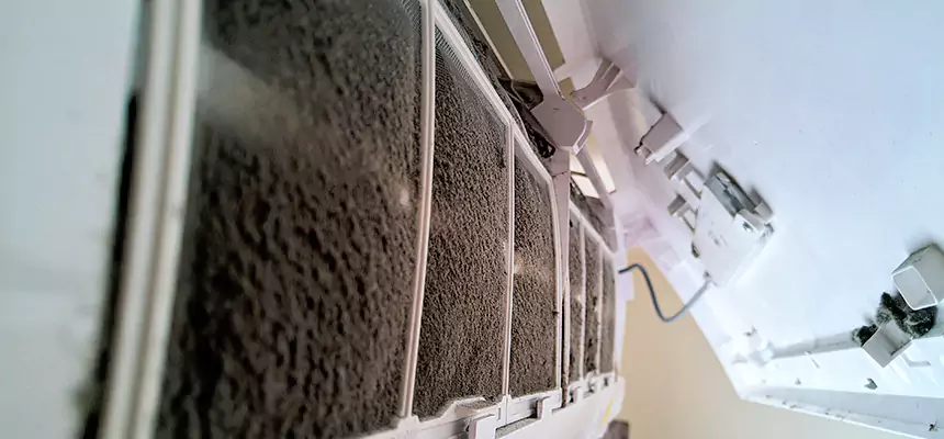 Preventive Air Duct Bacteria Removal in Pearl City