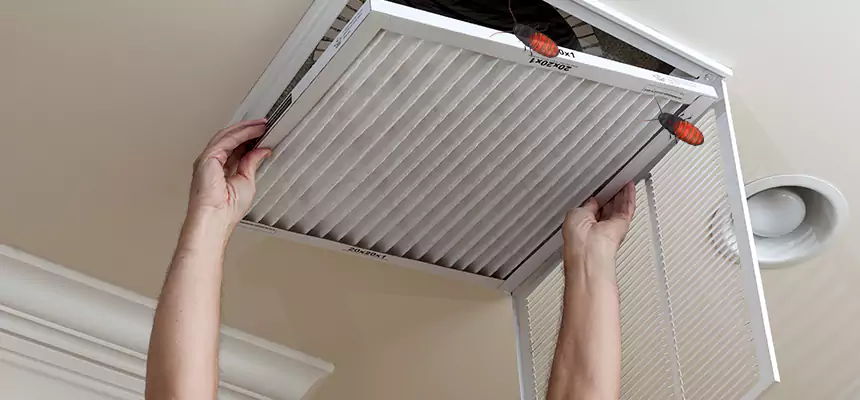 Preventive Cockroach-Proofing for Ducts in Pearl City