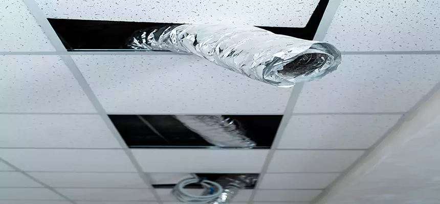 Our Air Duct Pet Hair Removal Services in Pearl City, HI