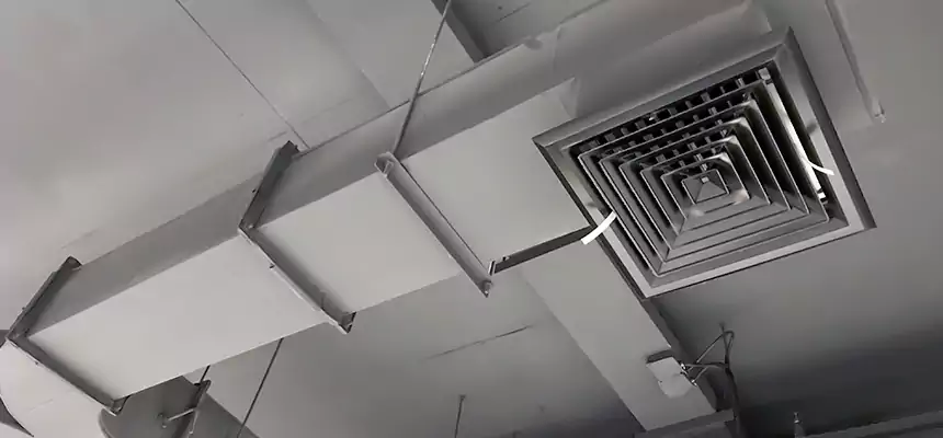 Restorative Allergy Relief Vent Cleaning – Coil, Blower & Housing Detail in Pearl City