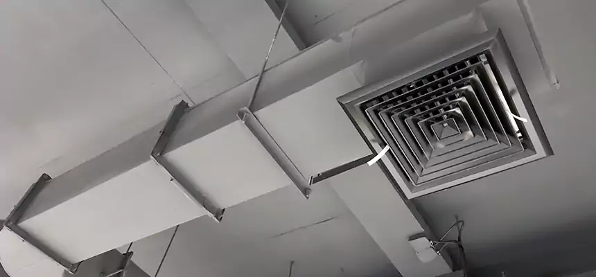 Our Pest Removal From Ducts Services in Pearl City, HI