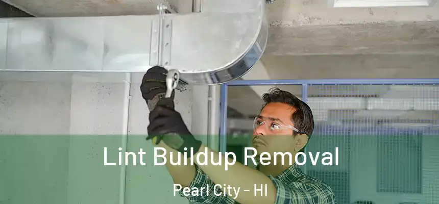 Lint Buildup Removal Pearl City - HI