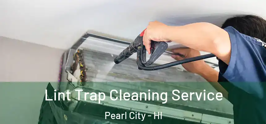 Lint Trap Cleaning Service Pearl City - HI