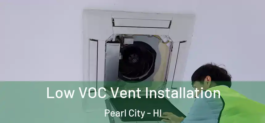  Low VOC Vent Installation Pearl City - HI