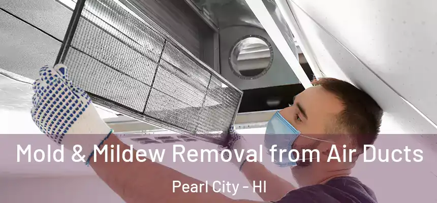  Mold & Mildew Removal from Air Ducts Pearl City - HI