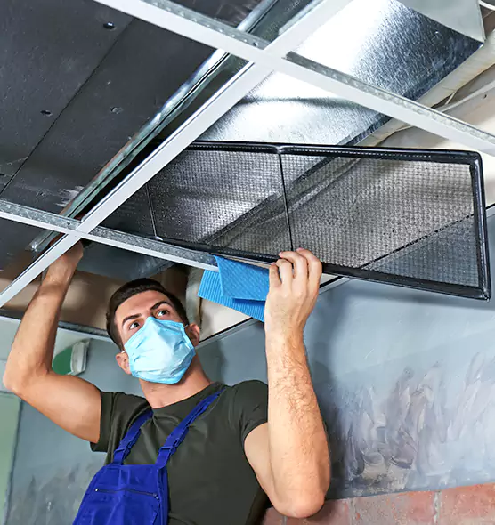 About Air Duct Bacteria Removal in Pearl City
