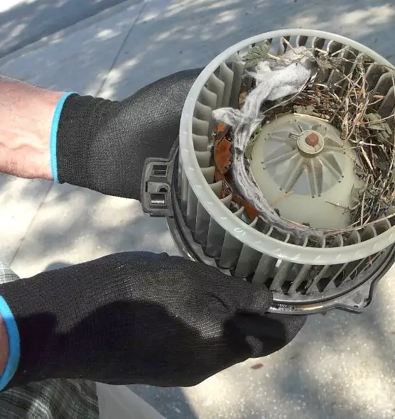 About Air Duct Mice Removal in Pearl City, HI