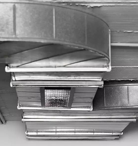 Professional Air Duct Pet Hair Removal in Pearl City, HI