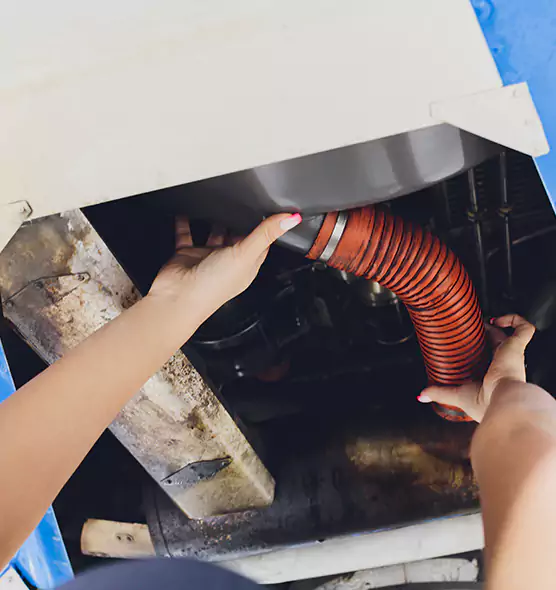 About Air Duct Virus Disinfection in Pearl City, HI