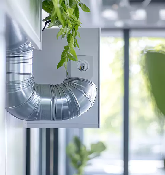 Professional Eco-Safe Dryer Vent Cleaning in Pearl City, HI