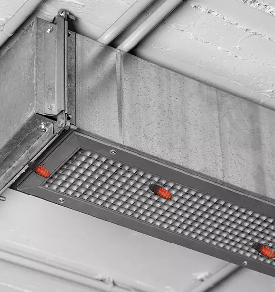 Affordable Insect Removal from Air Ducts in Pearl City, HI