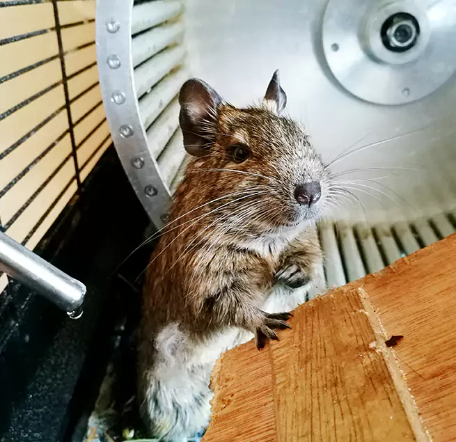 Why Homeowners & Businesses Trust Us Pearl City, HI