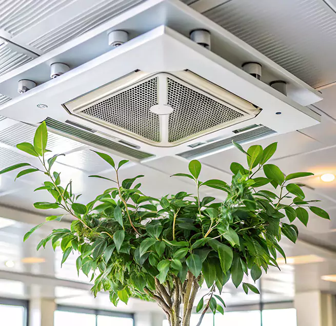 Why Homeowners & Businesses Trust Us in Pearl City, HI