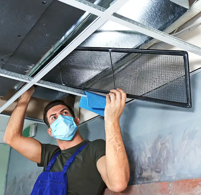 Why Homeowners & Businesses Trust Us in Pearl City, HI?