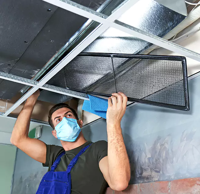 Why Homeowners & Businesses Trust Us in Pearl City, HI?