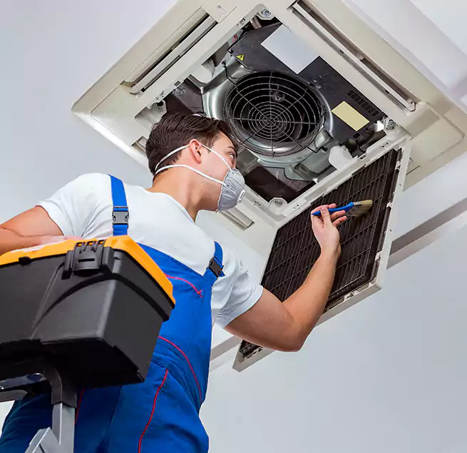 Why Homeowners & Businesses Trust Us in Pearl City, HI?