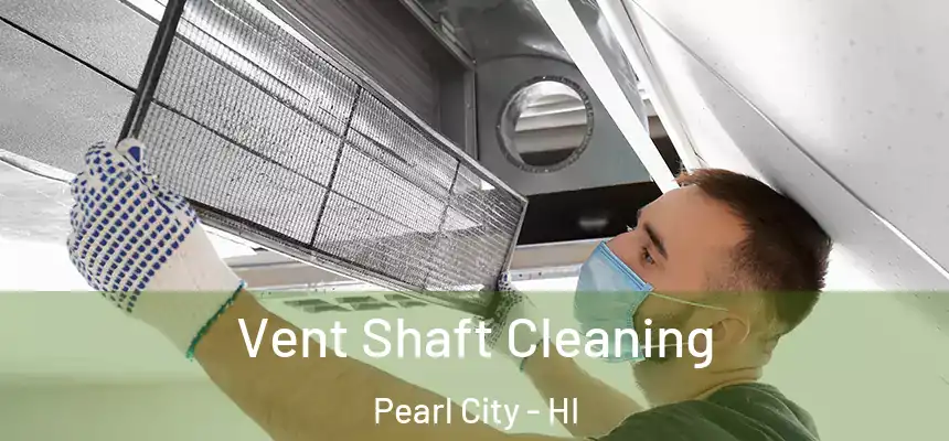  Vent Shaft Cleaning Pearl City - HI