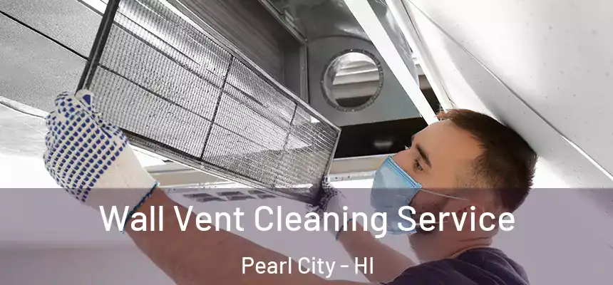  Wall Vent Cleaning Service Pearl City - HI